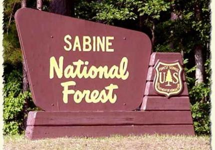 Sabine National Forest